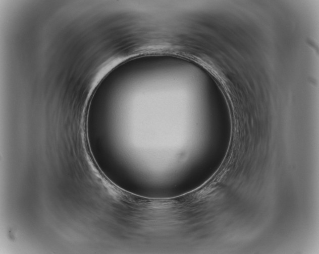 X0000096681440200802051236