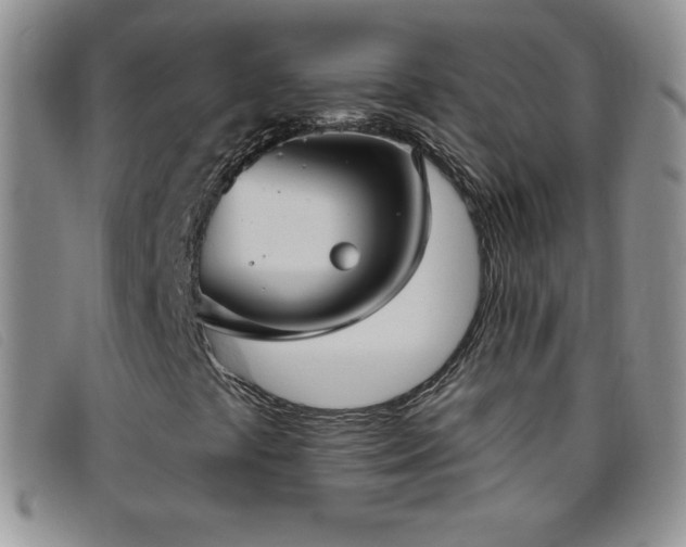 X0000096681441200802051235