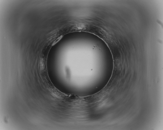 X0000096681442200802051235