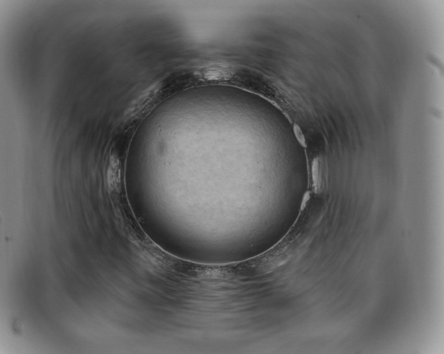 X0000096681443200802051235