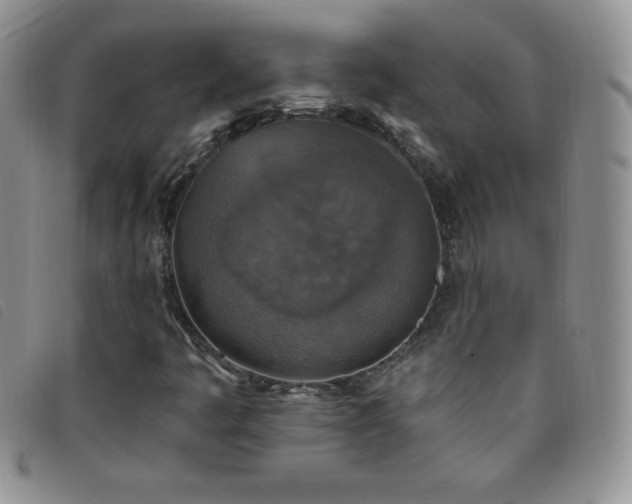 X0000096681445200802051235