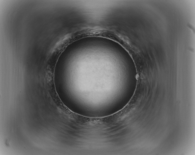 X0000096681447200802051235