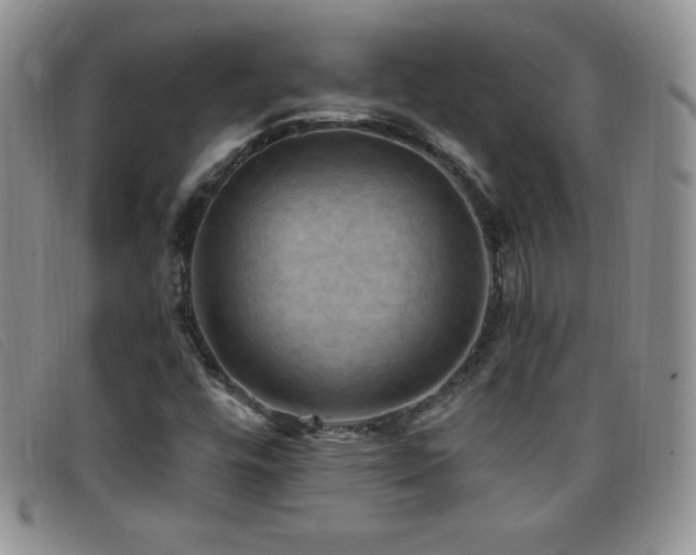 X0000096681448200802051235
