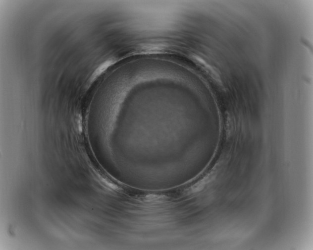 X0000096681449200802051235