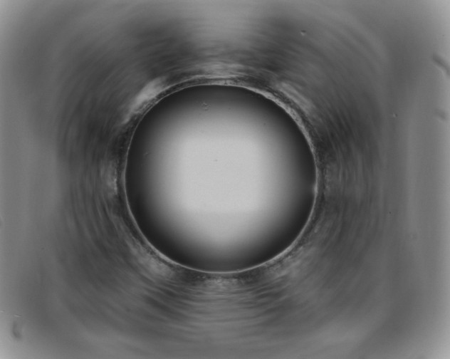 X0000096681451200802051235