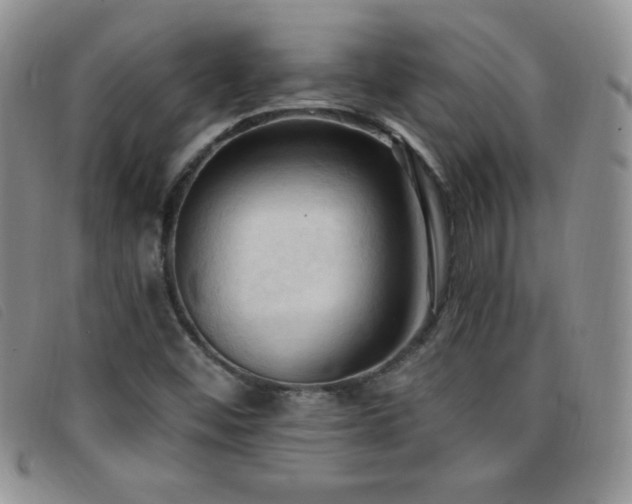 X0000096681452200802051235