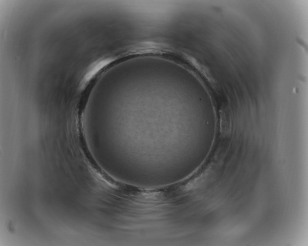 X0000096681453200802051235