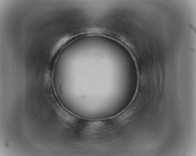 X0000096681454200802051235