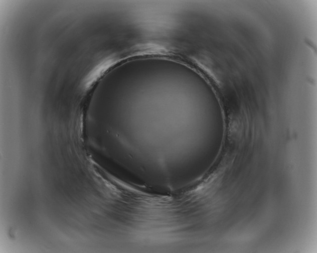 X0000096681455200802051235
