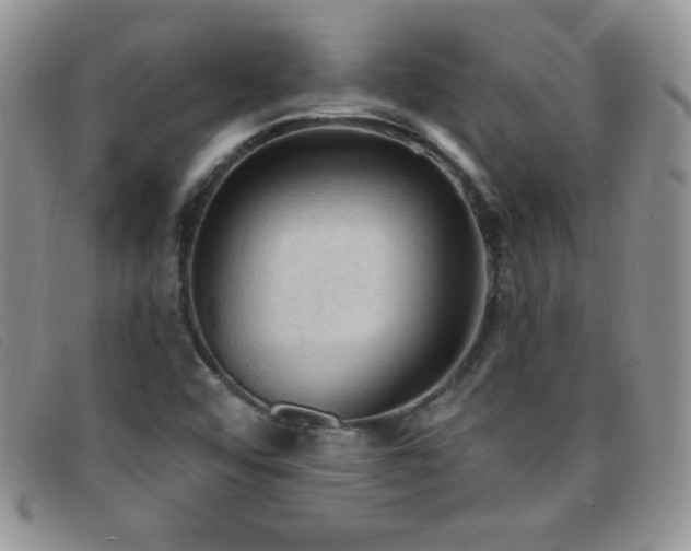 X0000096681456200802051235