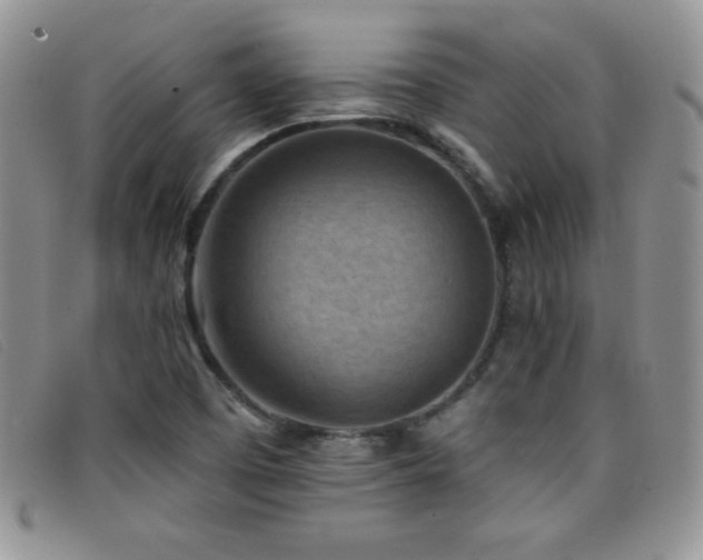 X0000096681457200802051235