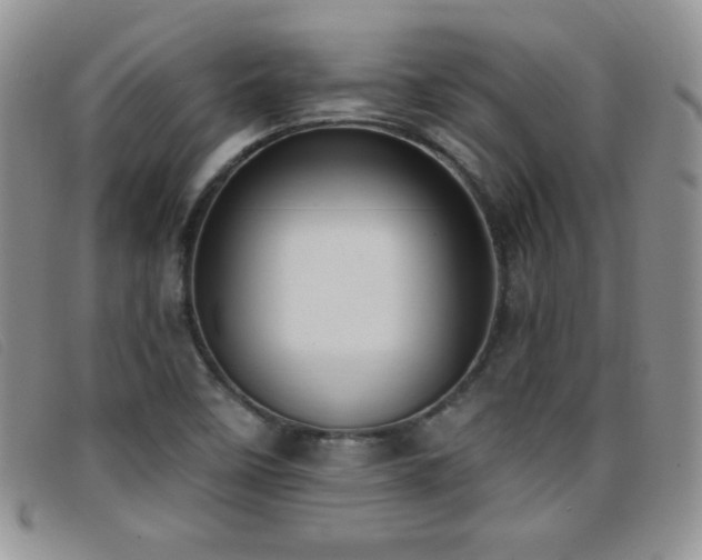 X0000096681458200802051235