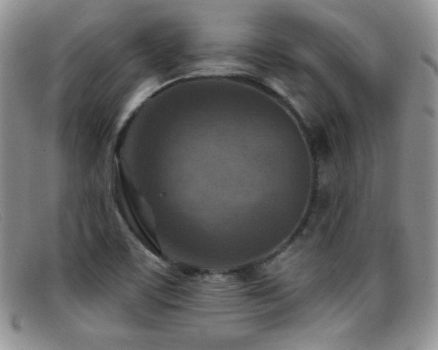 X0000096681459200802051235