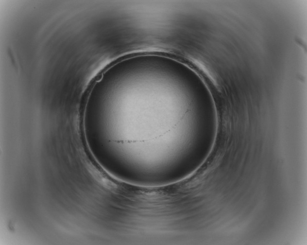 X0000096681460200802051235