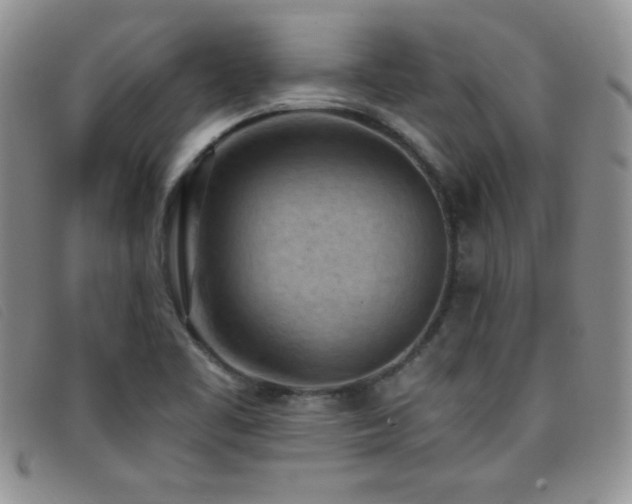 X0000096681461200802051235