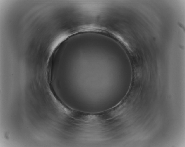 X0000096681463200802051235