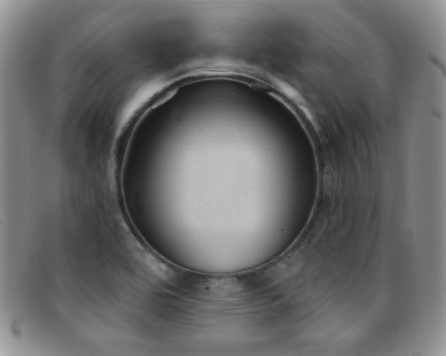 X0000096681464200802051235