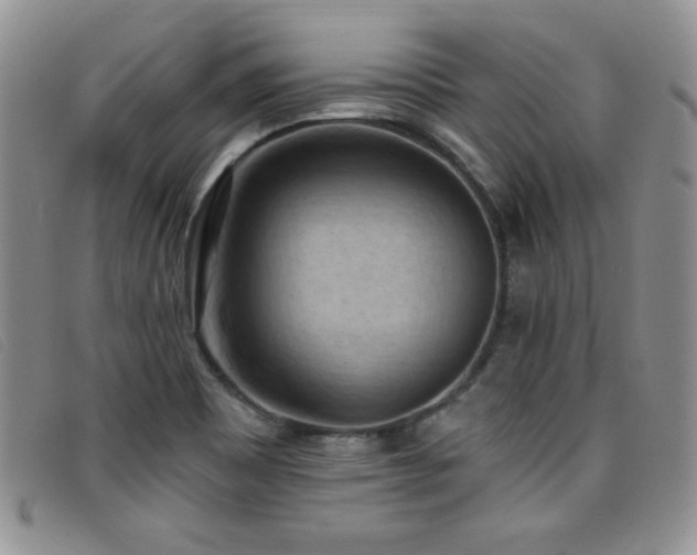 X0000096681465200802051234