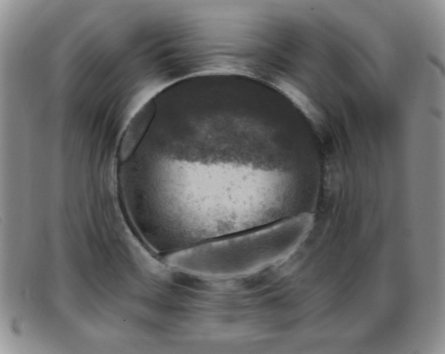X0000096681468200802051234
