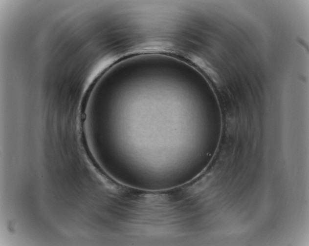 X0000096681469200802051234