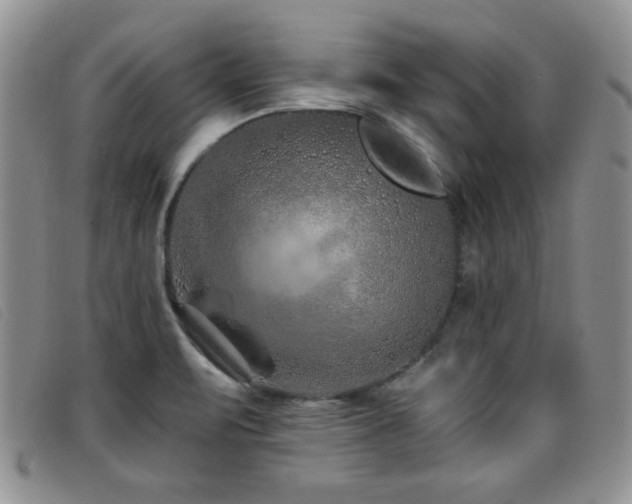 X0000096681471200802051234