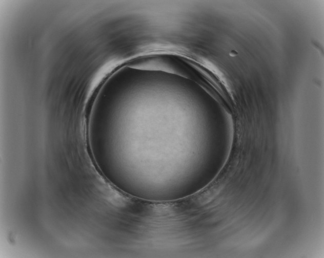 X0000096681472200802051234