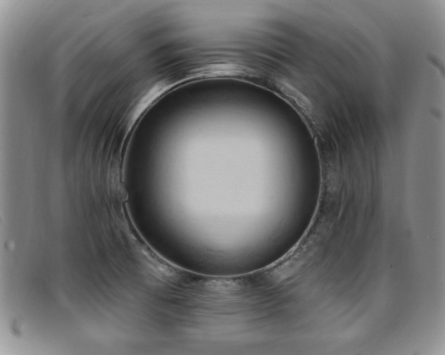 X0000096681473200802051234