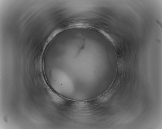 X0000096681474200802051234