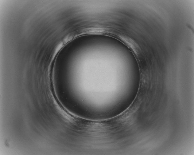 X0000096681475200802051234