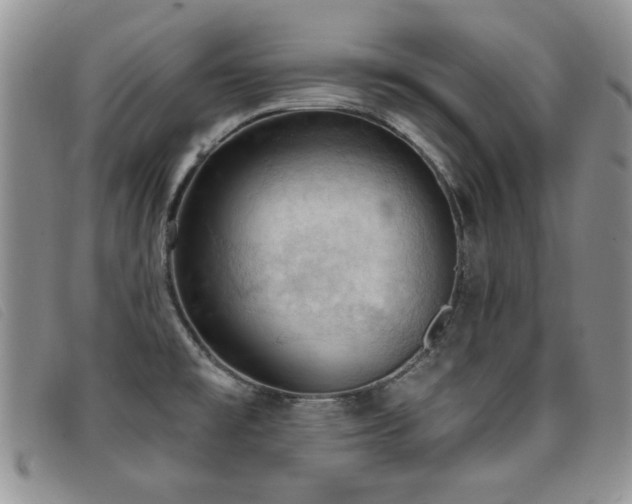 X0000096681477200802051234