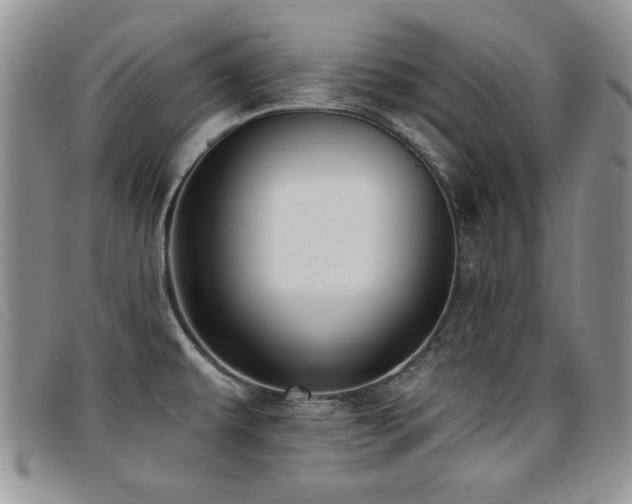 X0000096681479200802051234