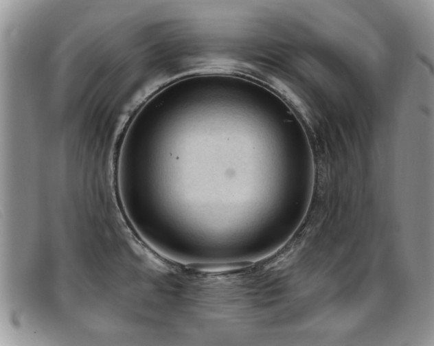 X0000096681480200802051234