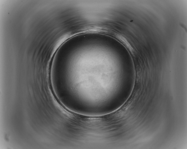 X0000096681483200802051234