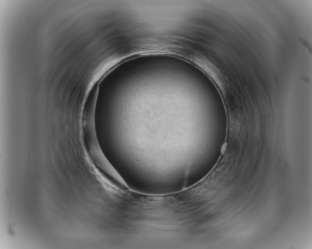 X0000096681485200802051234