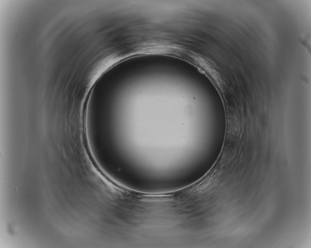 X0000096681487200802051234