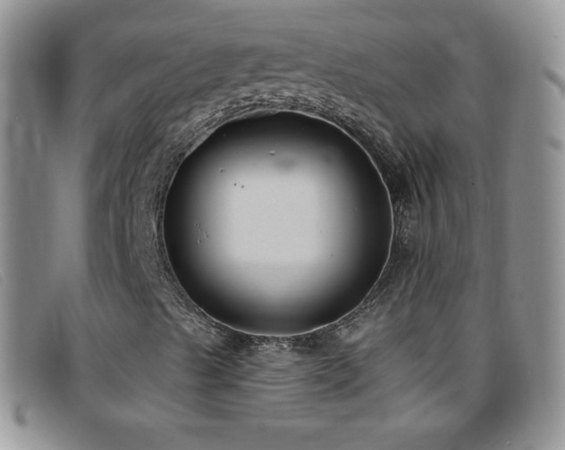 X0000096681489200802051234