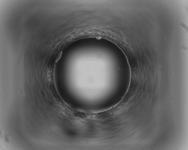 X0000096681490200802051234