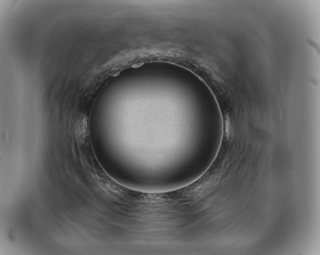 X0000096681492200802051234