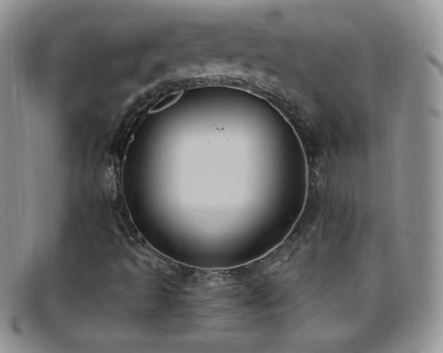 X0000096681493200802051234