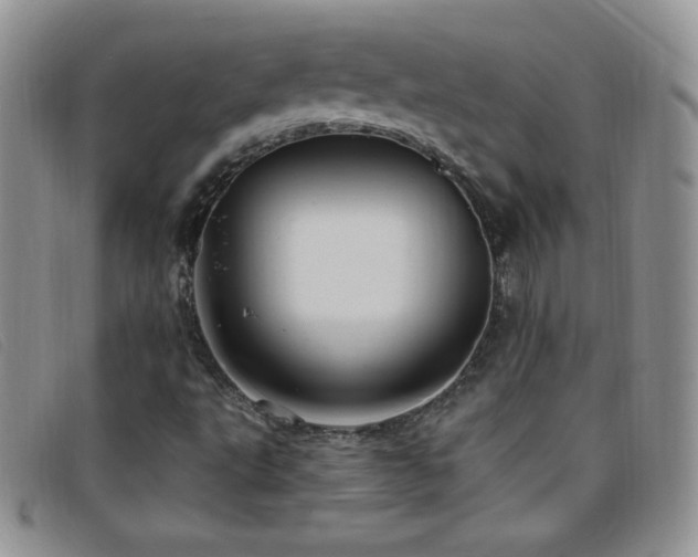 X0000096681495200802051234