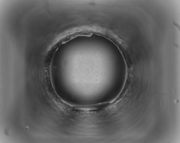 X0000096681496200802051234