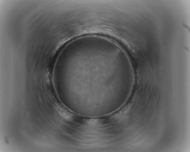 X0000096681497200802051234