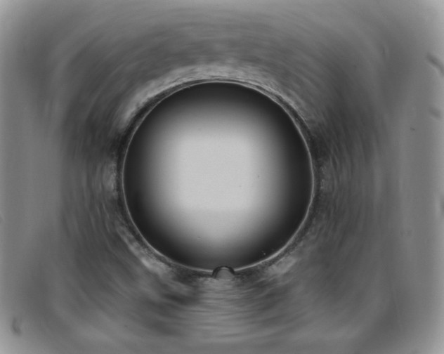 X0000096681499200802051234