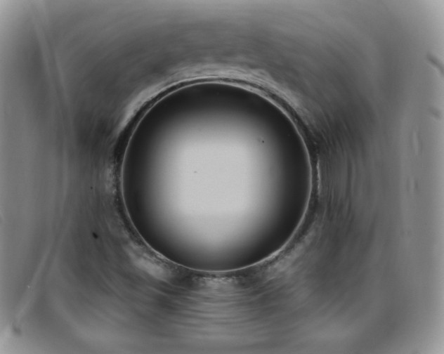 X0000096681501200802051234
