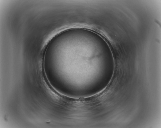 X0000096681504200802051234