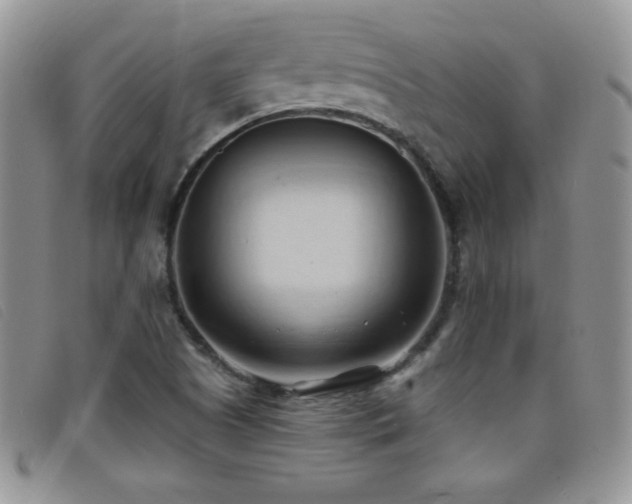 X0000096681505200802051234