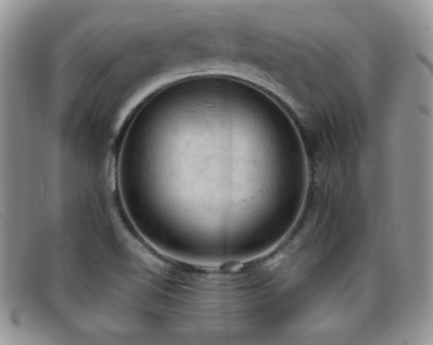 X0000096681510200802051234