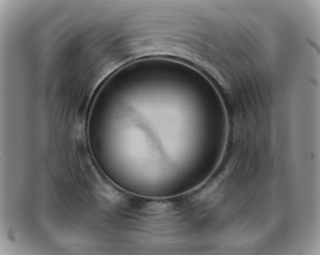X0000096681513200802051234