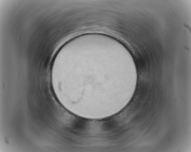 X0000096681514200802051234