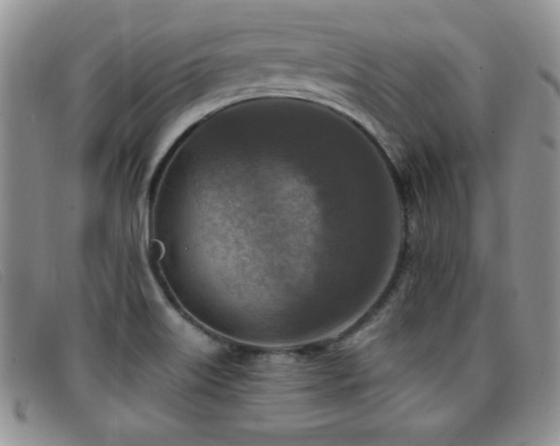 X0000096681515200802051234